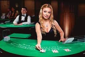 333bet21